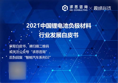 求思咨询与趣味科技联合发布《2024年锂电池负极材料技术白皮书》 技术演进与产业变革深度解析